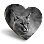 Heart MDF Coasters - BW - Caracal African Lynx Cat  #38979