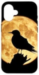 Coque pour iPhone 16 Silhouette de Sterne à ailes blanches Pleine Lune Oiseau Art