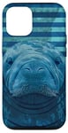 Coque pour iPhone 12/12 Pro Save The Manatee Crystal River FL Bleu abstrait rayé