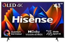 43E79NQ Qled Dolby vision & Atmos 60HZ 4K 108cm 2024