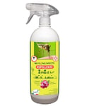 NO FLYING INSECTS Repellente zanzara tigre pronto uso con geraniolo principio at