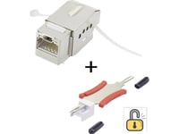 Renkforce Ksv10 + Verktyg Rj45 Inbyggd Modul Keystone Cat 6A