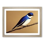 Glowing Swallow Bird H1022 Framed Print for Living Room Bedroom Home Office Décor, Wall Art Picture Ready to Hang, Oak A2 Frame (64 x 46 cm)