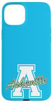 iPhone 15 Plus Retro Asheville Land of the Sky Case