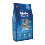 Brit Premium Cat Kitten Chicken kissanruoka 300g