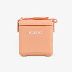 Kylbox Tagalong Too Apricot, 10L Igloo