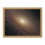 Artery8 Hubble Space Telescope Image Spiral Galaxy NGC 2841 Blue Pink Emission Nebula Starbirth Region And A Majestic Disk Of Stars And Dust Lanes Artwork Framed Wall Art Print 18X24 Inch