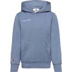 Champion ICONS Hoodie Gutt