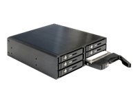 Delock 5.25" Mobile Rack For 6 X 2.5" Sata Hdd / Ssd - Hållare För Lagringsenheter - 2.5"