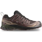 Baskets Salomon  Xa Pro 3D V9 Gore-Tex