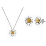 Daisy Set by Philip Jones