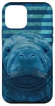 Coque pour iPhone 12 mini Save The Manatee Crystal River FL Bleu abstrait rayé