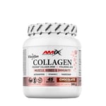 Amix - Viscofan Collagen Drink, Chocolate- 300 g