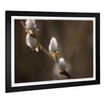 Big Box Art Framed Print of Pussy Willow Tree Design | Wall Art Picture | Home Decor for Kitchen, Living, Dining Room, Lounge, Bedroom, Hallway, Office, Black, A2 / 24.5x18 Inch / 62x45cm