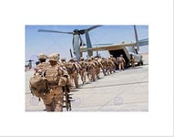 Wee Blue Coo WAR MILITARY ARMY SOLDIER GUN RIFLE WAR MARINE OSPREY BOARDING PRINT B12X4866