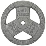 Sporzon! Plaque de poids en fonte pour musculation, haltérophilie et crossfit, simple, gris, 2,5 cm