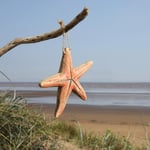 Little Wooden Starfish Hanging | Coastal Style by Shoeless Joe