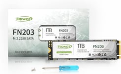 FN203 1To M.2 SATA SSD - SLC Cache 3D NAND TLC SATA III 6Gb/s M.2 2280 NGFF Disque SSD Interne,jusqu'à 550Mo/s,Compatible avec Ultrabooks,Tablettes et Mini PCs(Q1092)