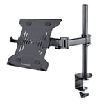 StarTech.com Laptop Desk Mount - Monitor and Laptop Mount - Displays up to 34" (17.6lb/8kg) & Laptops (4.5kg/9.9lb) - Articulating VESA Laptop Tray Arm - Clamp/Grommet Mount (A-LAPTOP-DESK-MOUNT)