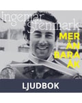 Ingemar Stenmark - Mer än bara åk, Ljudbok