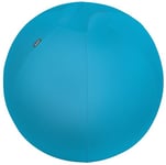 Leitz - Siège Ballon Ergonomique pour Bureau, 65 cm de Diamètre, avec Housse en Tissu / Balle d'Assise / Pompe à Air Manuelle / 2 Bouchons, Gamme Ergo Cosy, Bleu, 52790061