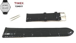 Timex Bracelet T2M977 Séries-t Automatique 20mm - T2M976 T2M978 T2M979 T2M980