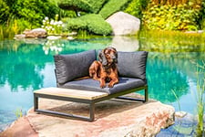 greemotion Lit pour Chien, Canapé pour Chien en Taille en Polyéthylène avec Coussin en 100% Polyester, env. 100 x 45 x 70 cm, Noir/Gris/Bois