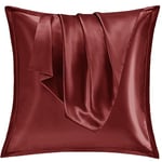 Vielit Taie Oreiller Satin 65x65 Lot de 2,pour Cheveux,Similaire Aux Taie d Oreiller en Soie,Housse de Coussin 65x65,Taies d'oreillers certifié Oeko-Tex Rouge