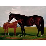 Artery8 After Henry Stull Nevada With Foal 1881 Large Wall Art Poster Print Thick Paper 18X24 Inch