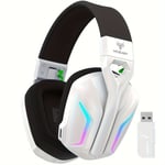 1 casque de jeu multiplateforme PC, casque sans fil avec Dolby Atmos ¿ Microphone de qualité professionnelle avec lumière RVB clignotante, ¿ Compatible avec PC, Mac, PS5, PS4, Switch, appareils mobile Noir et blanc