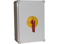 Spamel Isolating Switch Disconnector 3P 125A In A Polycarbonate Housing With A Yellow-Red Lockable Front (Rsi-3125Obpzc)