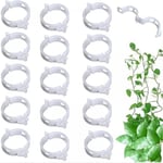 100 Pcs Clips de Support de Plantes Grimpantes Attache Plante Pinces Plantes pour Légumes Tomates Vignes Blanc