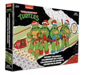 Teenage Mutant Ninja Turtles 2024 Nano Metalfigs Advent Calendar New With Tag