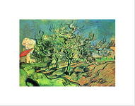 Wee Blue Coo VAN GOGH LANDSCAPE WITH THREE TREES HOUSES FRAMED ART PRINT B12X2088