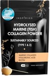 Marine Collagen Powder for Women - Marine Collagen with Hyaluronic Acid, Vitamin C, Biotin & MSM. Hydrolyzed Collagen Peptides Backed by 6 Clinical Studies, 30 Servings