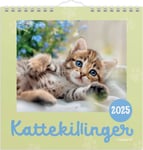 Mayland 2025 Vægkalender Mini, kattekillinger