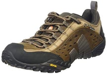 Merrell Men's Intercept Walking Shoe, Moth Brown, 8