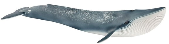 SCHLEICH - Figurine de l'univers des animaux sauvages - Baleine Bleue -  - SH...