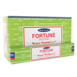 Satya Fortune Incense Sticks (box Of 12 Packs) One Size Limegrön