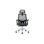 FTFTO Home Accessories Adjustable Office Chair Ergonomic with Waist Support Inline Wheel Type High Back Thick Cushion Adjustable Headrest And Armrest