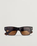 Oliver Peoples Kasdan Sunglasses Walnut