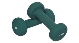 1 kg  2x0 5  a 10kg  2x5 0  halteres fitness en vinyle   poids   2 kg