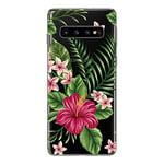 NOVAGO Compatible avec Samsung Galaxy S10 Coque en Gel Souple Transparent et Solide avec Impression de qualité (Exotique)