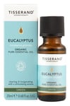 Tisserand Aromatherapy - Eucalyptus Eucalyptus Globulus Organic (20 ml)