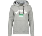 FLAG HOODIE W Dam GREY MELANGE S