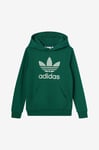 adidas Originals - Huvtröja Trefoil Hoodie - Grön