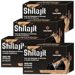 Lumarejebo Shilajit Tablets 30,000mg, 100% Pure Himalayan Shilajit Tablets (1000mg Per Serving), Rich in 85+ Trace Minerals & Fulvic Acid, for Energy and Immune Support (240 Tablets)