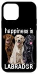 Coque pour iPhone 12 mini Le bonheur, c'est le chocolat Golden Retriever Black Lab du Labrador