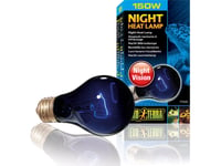 Exo Terra Light Bulb Night Heat Lamp, 150W