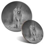 Mouse Mat & Coaster Set - BW - Caracal African Lynx Cat  #38978